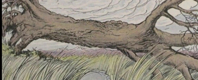 Листы и Корни