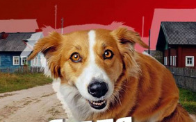 Хлеб для собаки