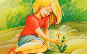 Неизвестный цветок