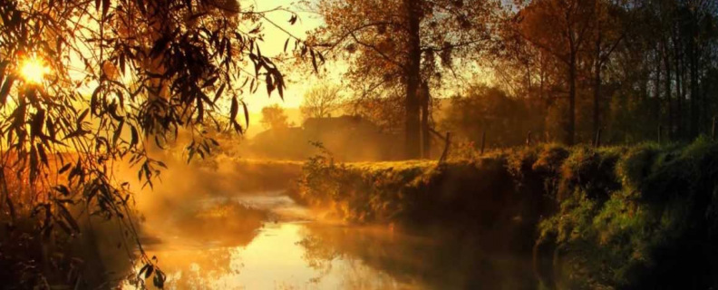 Я пришёл к тебе с приветом…