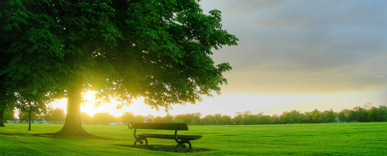 Это утро, радость эта...