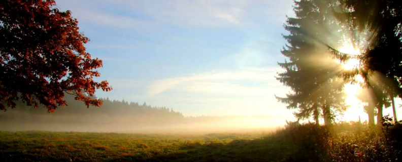 Заря прощается с землёю…