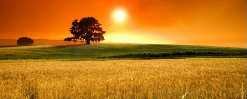 Летний вечер