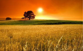 Летний вечер