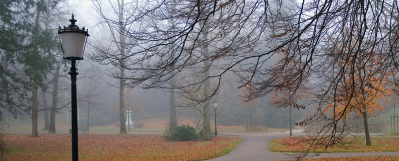 О, как безумно за окном...