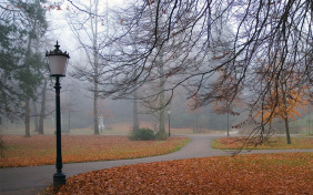 О, как безумно за окном...