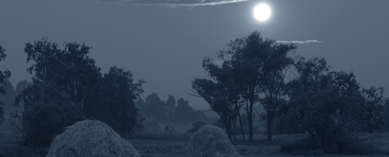 Звезда полей