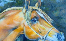 О чём плачут лошади