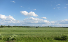 Земля родная