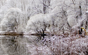 Первый снег