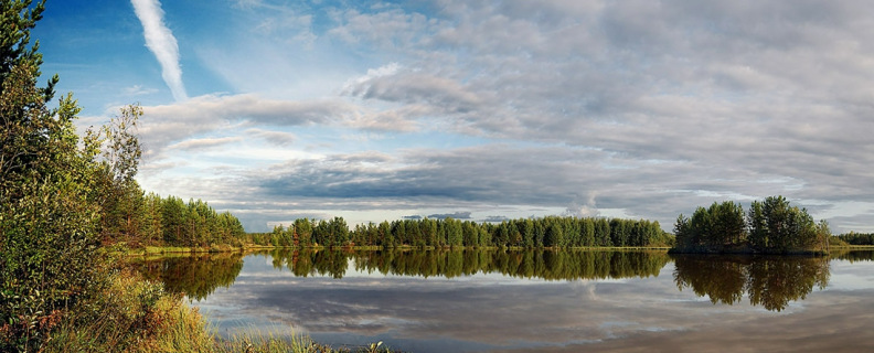 Я воспитан природой суровой...