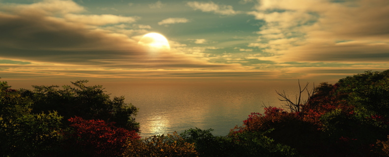 Я не ищу гармонии в природе