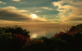 Я не ищу гармонии в природе