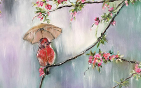 Весенний дождь