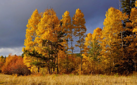 Есть в осени первоначальной…