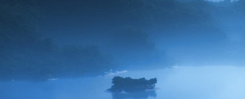 Посмотри — какая мгла…