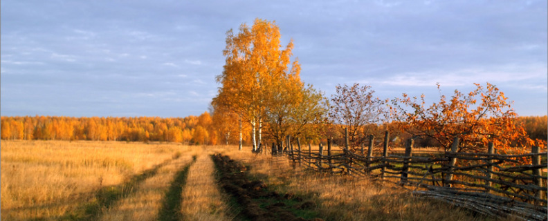 Когда волнуется желтеющая нива…
