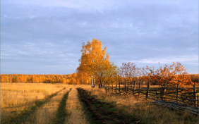 Когда волнуется желтеющая нива…